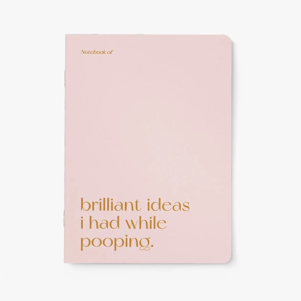 Brilliant Pooping Notebook